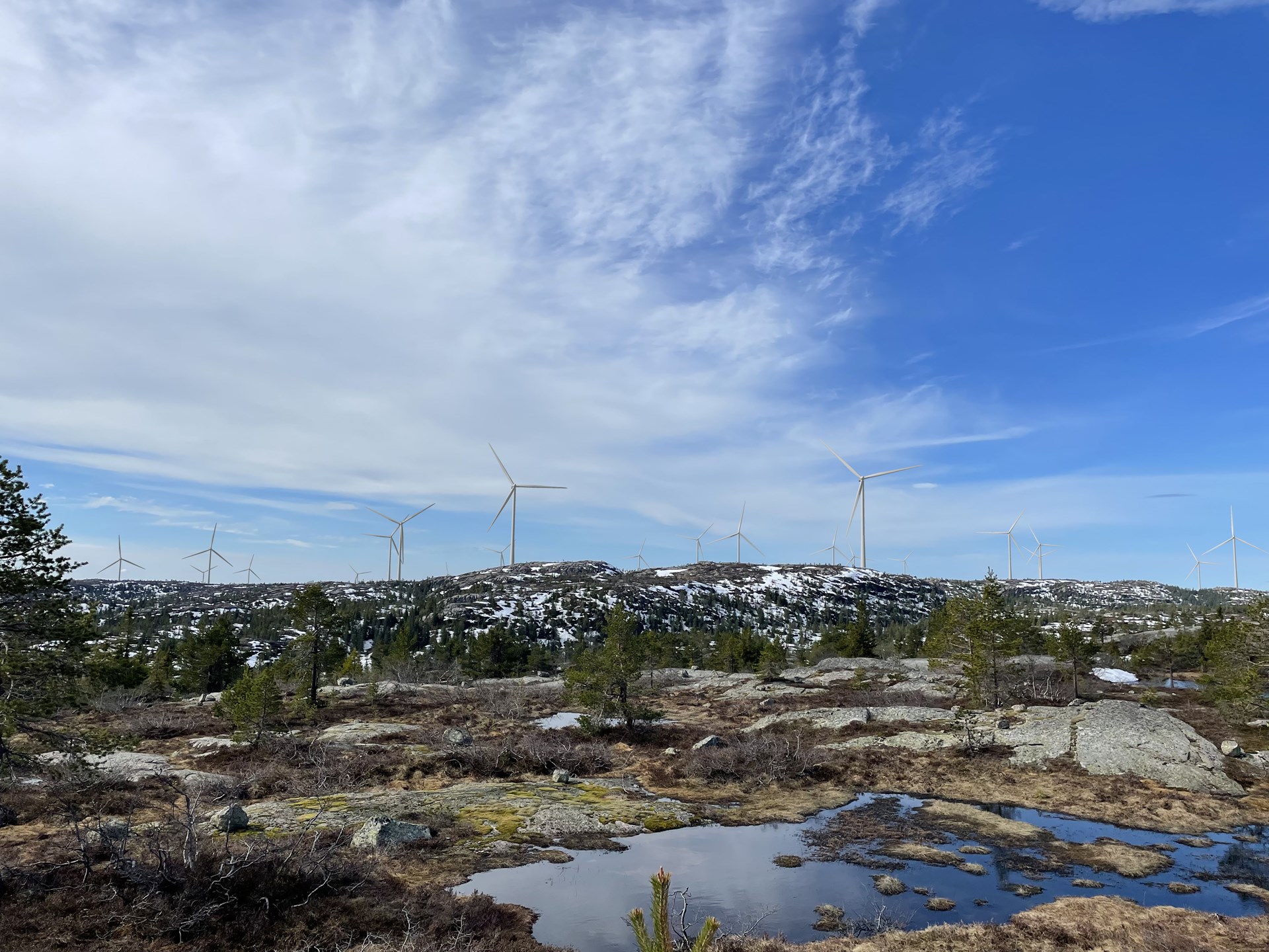 Img 2388 Photomontage (1)