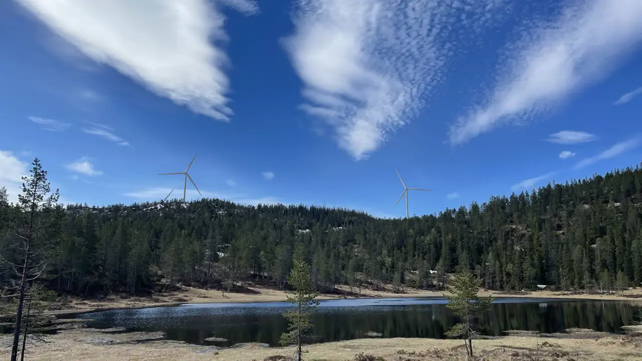 Img 2400 Photomontage