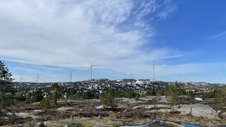 image for Slik kan det se ut